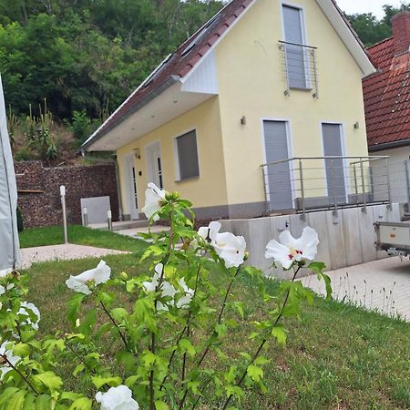 Ferienhaus Saaleblick Wettin Eksteriør bilde