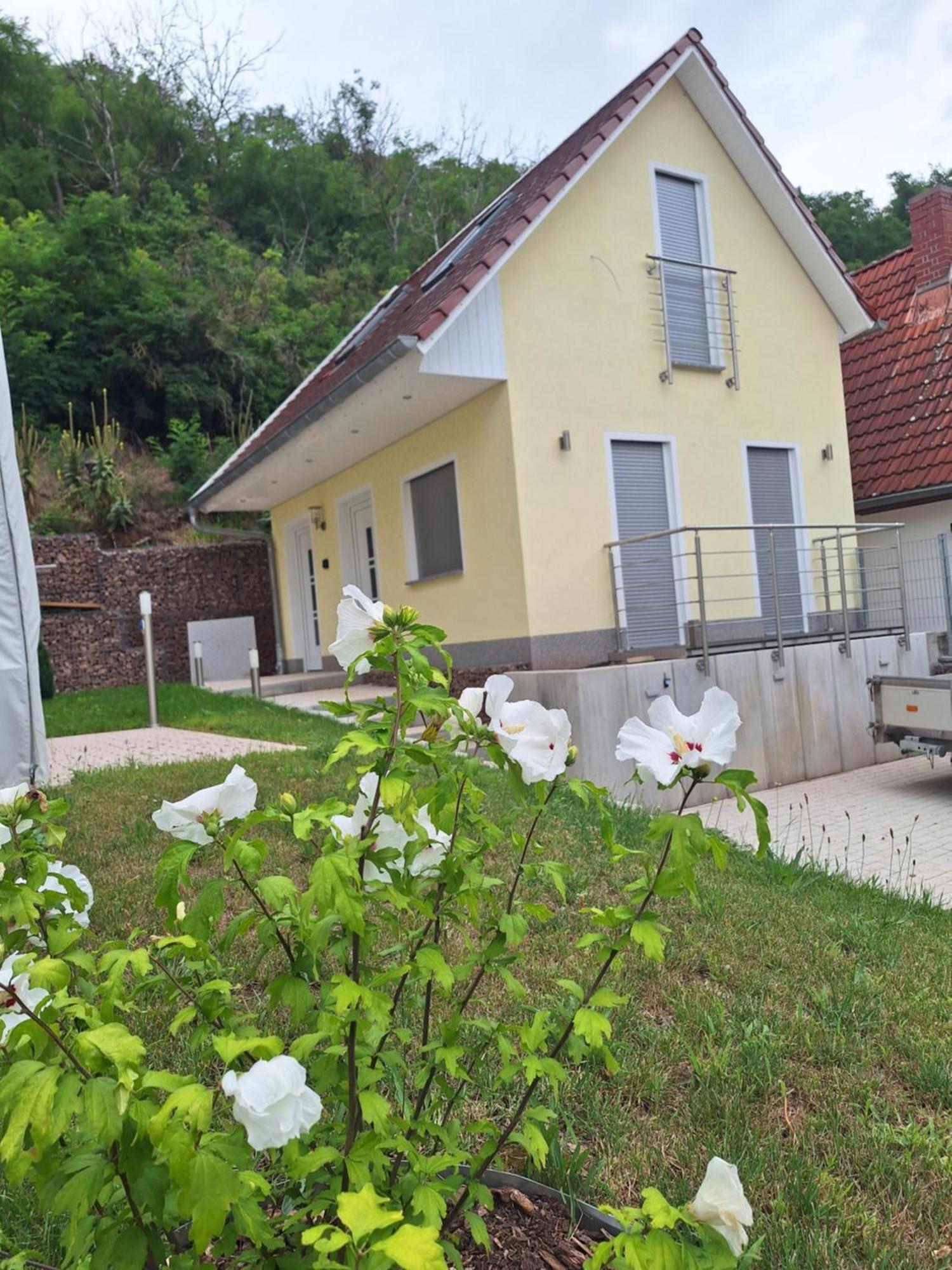 Ferienhaus Saaleblick Wettin Eksteriør bilde